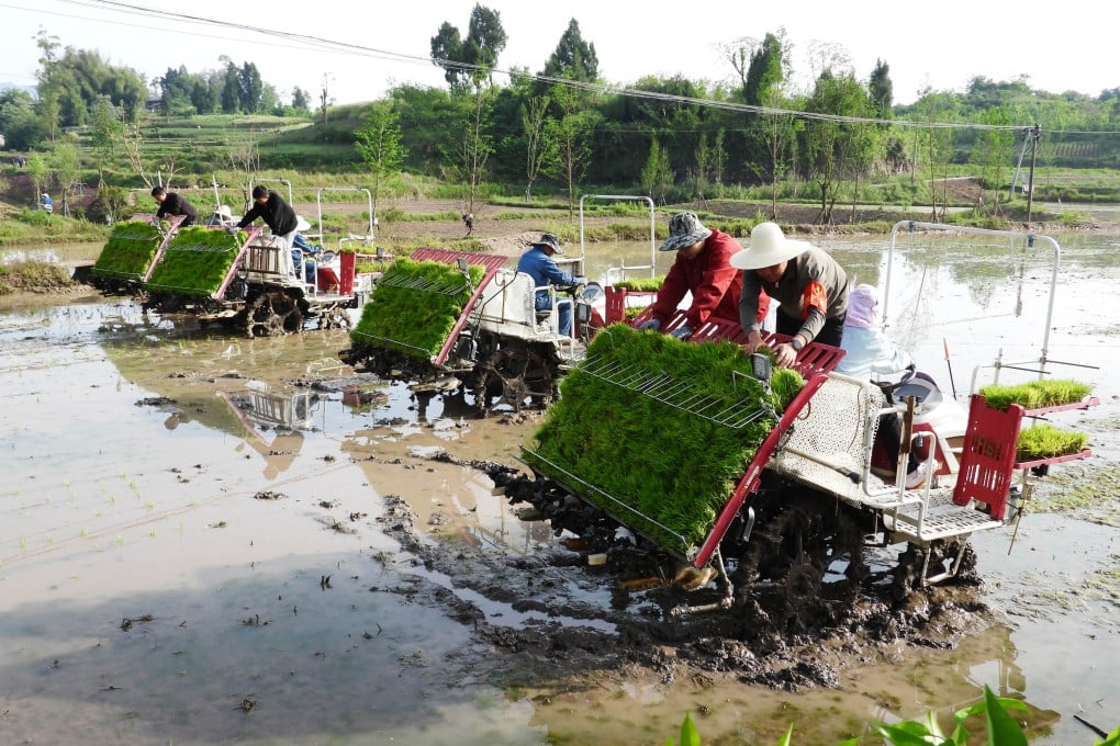 Volunteers and farmers operate BeiDou-enabled rice transplanters to plant seedlings in Dazhou, Sichuan province, last month. Photo: Xinhua
