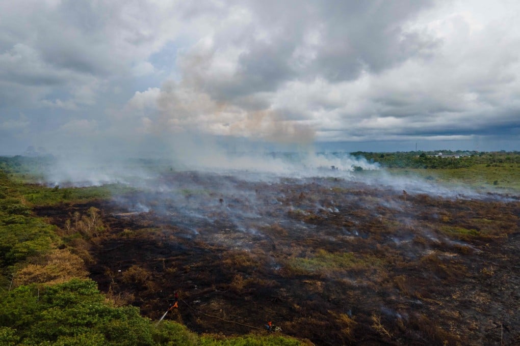 Firefighters at the scene of a fire at a peatland forest in Indonesia. Southeast Asia is facing the prospect of strong El Nino conditions that could spike energy demand, sap hydropower and damage crops. Photo: AFP