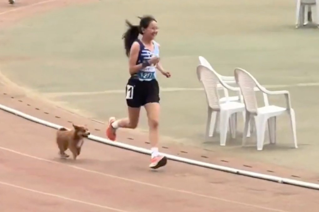 A stray puppy became an overnight internet sensation after a video of it entering the track to accompany a female student at the end of her 3,000-metre race gained millions of views. Photo: bjnews.com.cn
