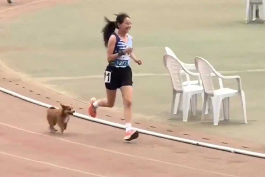 A stray puppy became an overnight internet sensation after a video of it entering the track to accompany a female student at the end of her 3,000-metre race gained millions of views. Photo: bjnews.com.cn