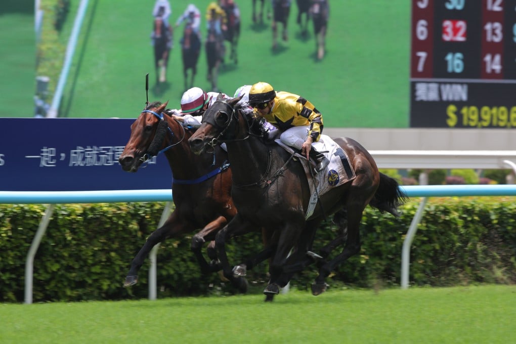 Zac Purton and Flying Amani (right) edge ahead of Perfecto Moments to win the first race of the day at Sha Tin. Photo: Kenneth Chan.