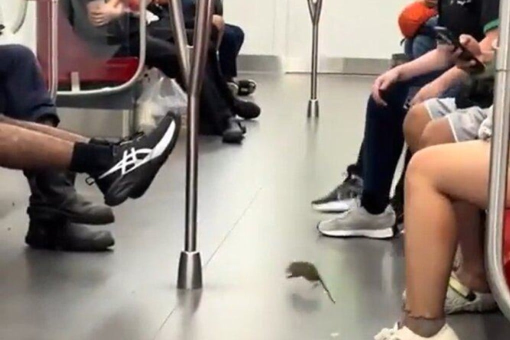 Passengers lift their legs as a rat scurries around an MRT carriage. Photo: Reddit/Beaveric