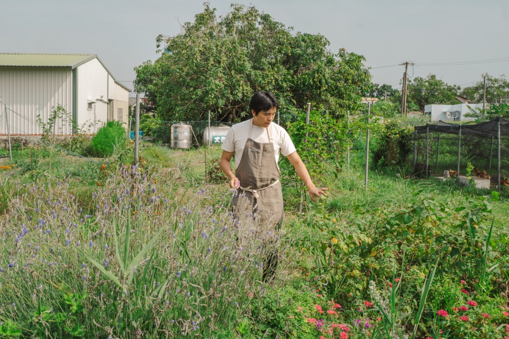 Nick Yang, chef-owner of Yudao, selects edible flowers from the restaurant’s farm. Photo: Alexander Mak