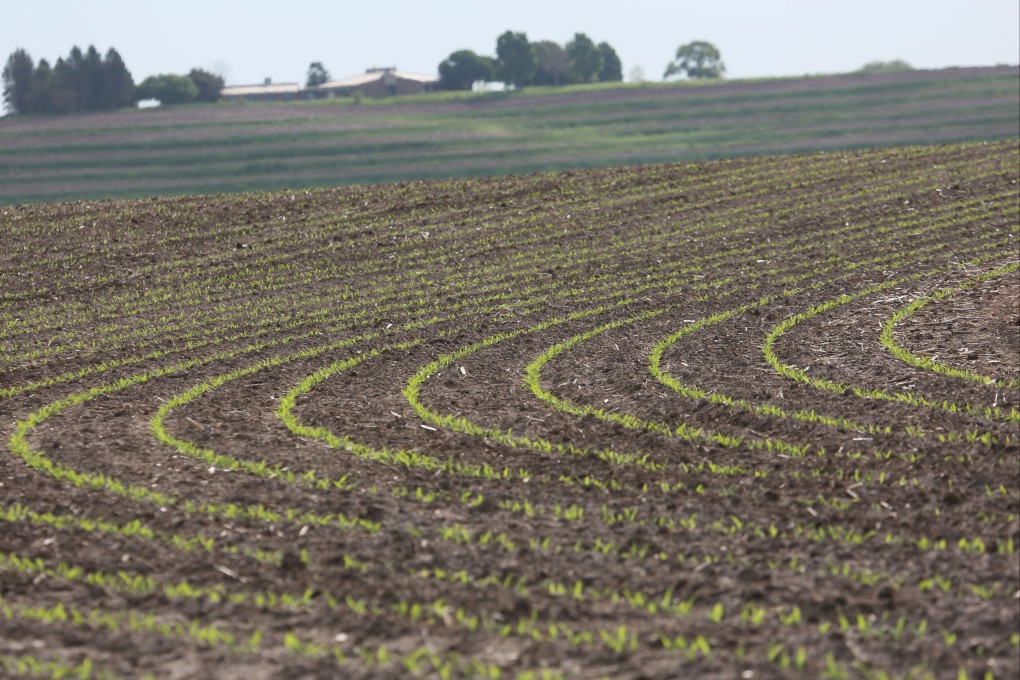 Soybeans have long served as a barometer of US-China relations, with purchases and tariffs often used as leverage in broader trade negotiations between the two countries. Photo: Xinhua