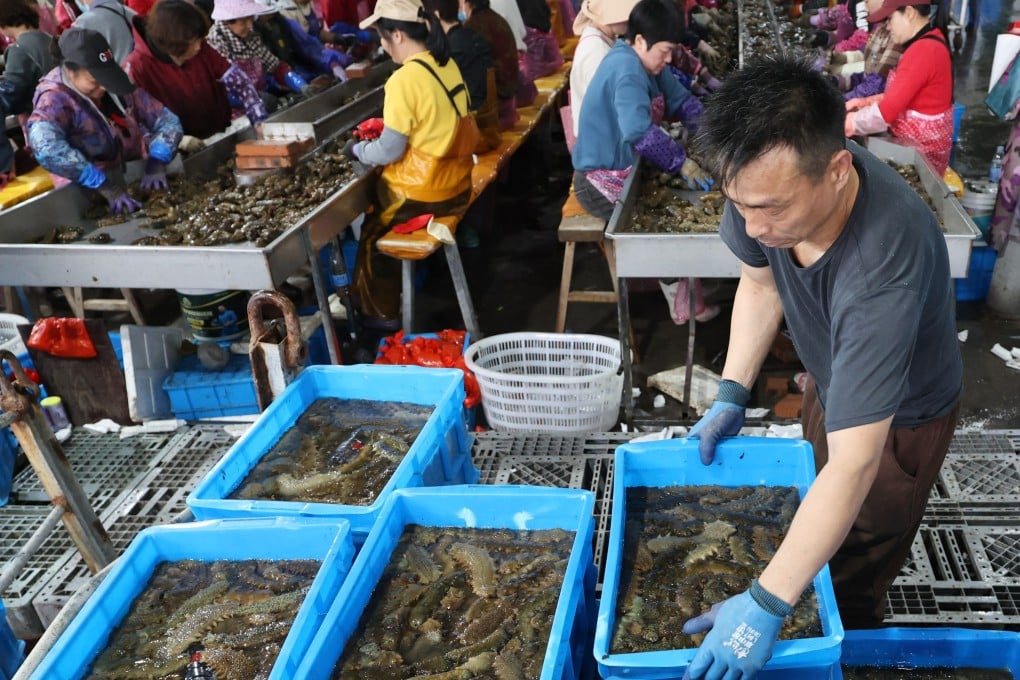 Workers process sea cucumbers for an aquatic product company in Ningde, Fujian province, last month. Photo: Xinhua