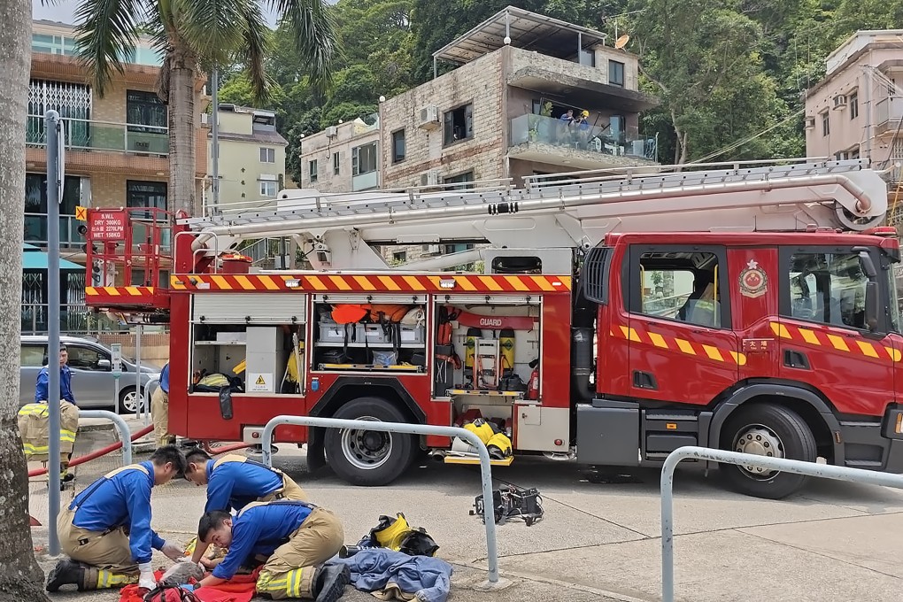 Firefighters try to revive the cats. Photo: Handout