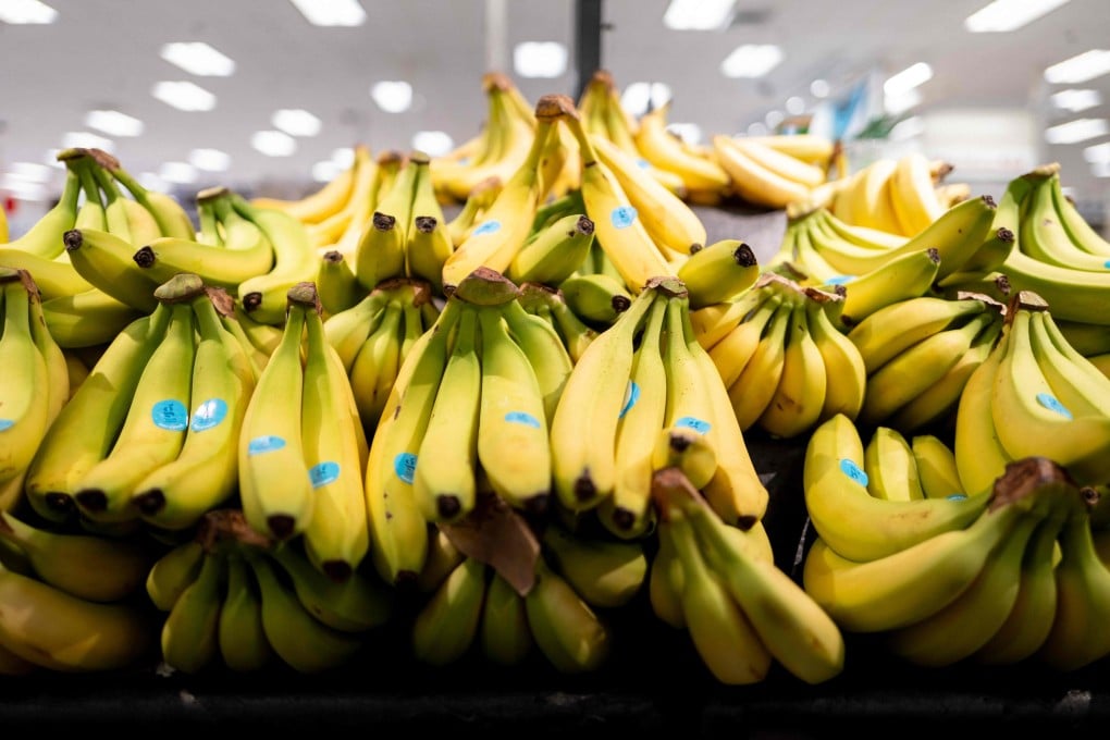 Japan bought about 1 million tonnes of bananas last year, making the fruit one of the country’s most important grocery staples. Photo: Getty Images via AFP