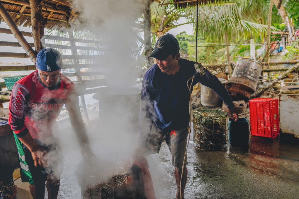 Crabs are quickly sorted for size then steamed to lock in their freshness, in Tortosa, Negros Occidental, in the Philippines. Photo: Jocelyn Tam