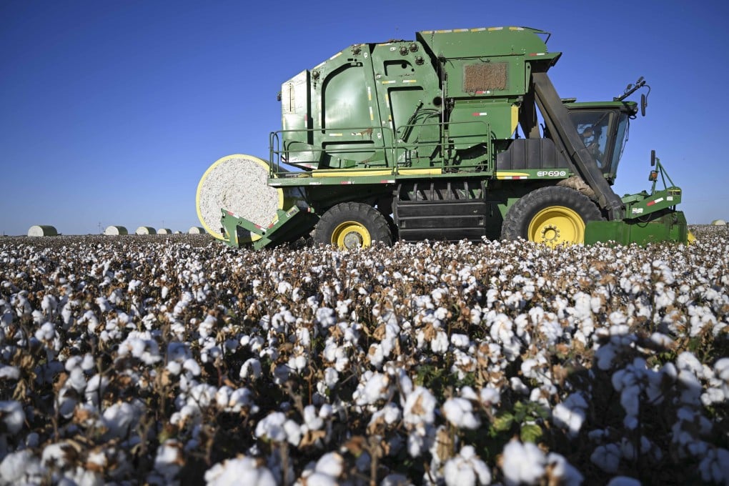 A team led by scientists from the Chinese Academy of Sciences’ Xinjiang Institute of Ecology and Geography say they genetically modified cotton for resistance to “cotton cancer”. Photo: Xinhua