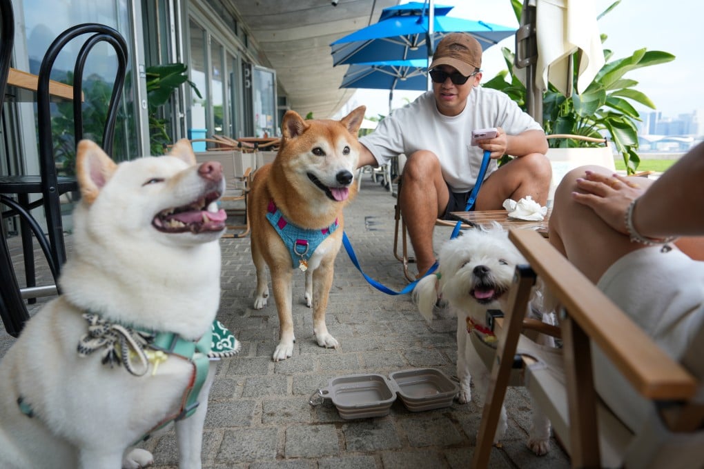 People with their pets at a restaurant in the West Kowloon Cultural District. Photo: Sam Tsang