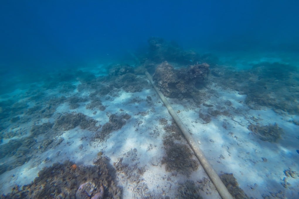 China and the US were notably absent from a list of 17 Asian and European countries calling for collaboration on defence strategies to protect vulnerable submarine cables during conflicts. Photo: Shutterstock Images