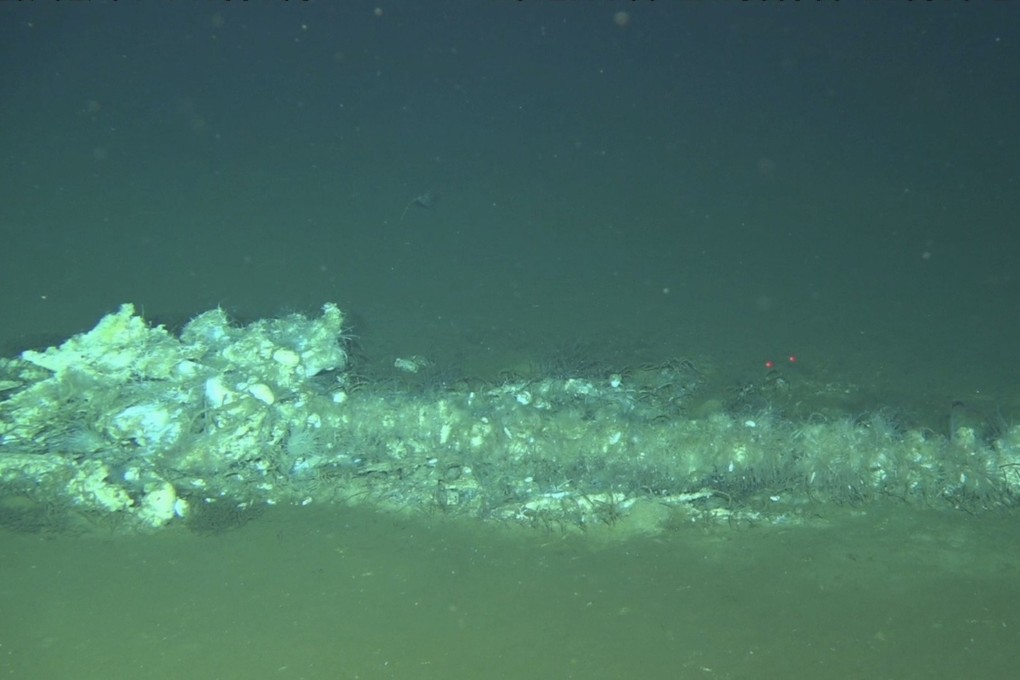 A scientific team from China discovered the deepest and most extensive whale graveyard in the depths of the Diamantina Trench. Photo: Handout