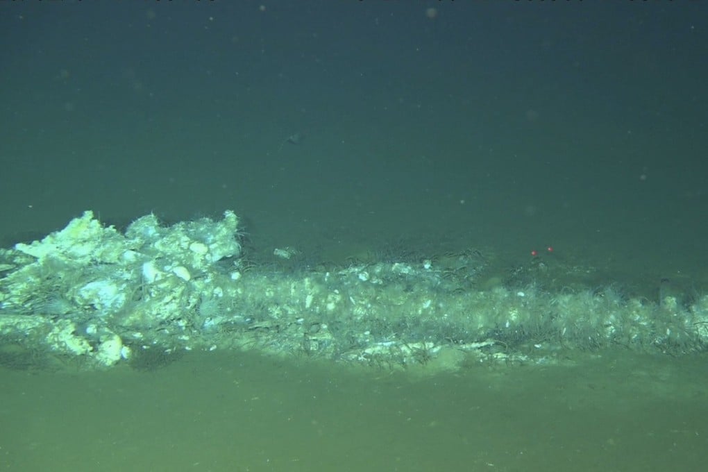 A scientific team from China discovered the deepest and most extensive whale graveyard in the depths of the Diamantina Trench. Photo: Handout