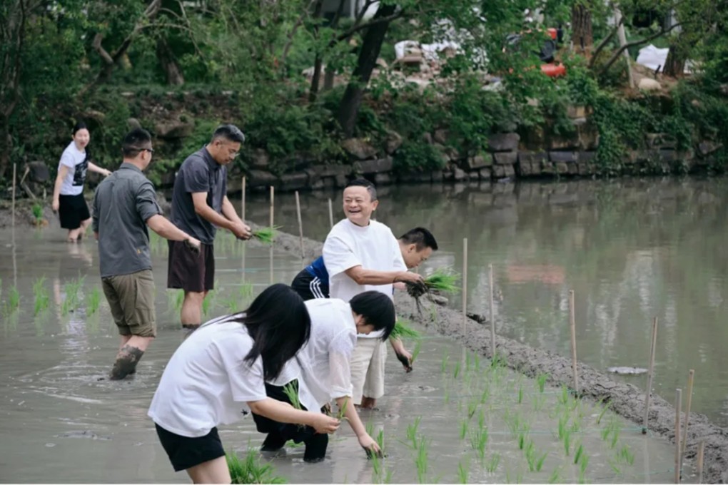 Jack Ma and Alibaba executives gather at the rice-planting team-building event. Photo: Handout