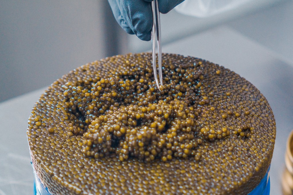 N25 Caviar sources its sturgeon roe from China, and all of the processing is done in Germany, at its headquarters in Munich. Photo: N25 Caviar