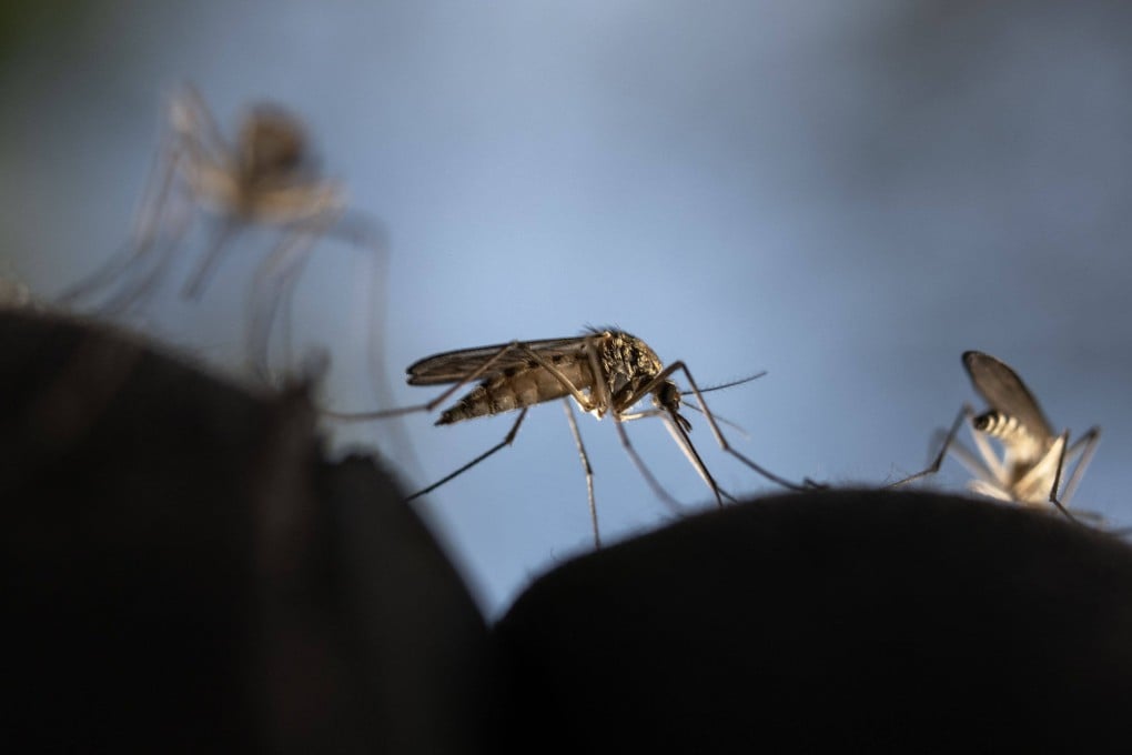 Photon Matrix Lab’s portable laser mosquito defence system promises to rapidly detect and eliminate mosquitoes mid-flight with the help of an AI-powered vision module and lidar. Photo: AFP