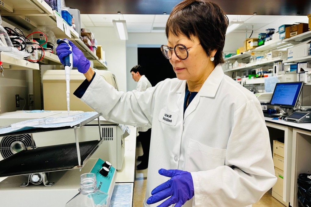 Dr Thein Swee Lay works in her lab at the US National Institutes of Health in Washington. Photo: Julie Erb-Alvarez
