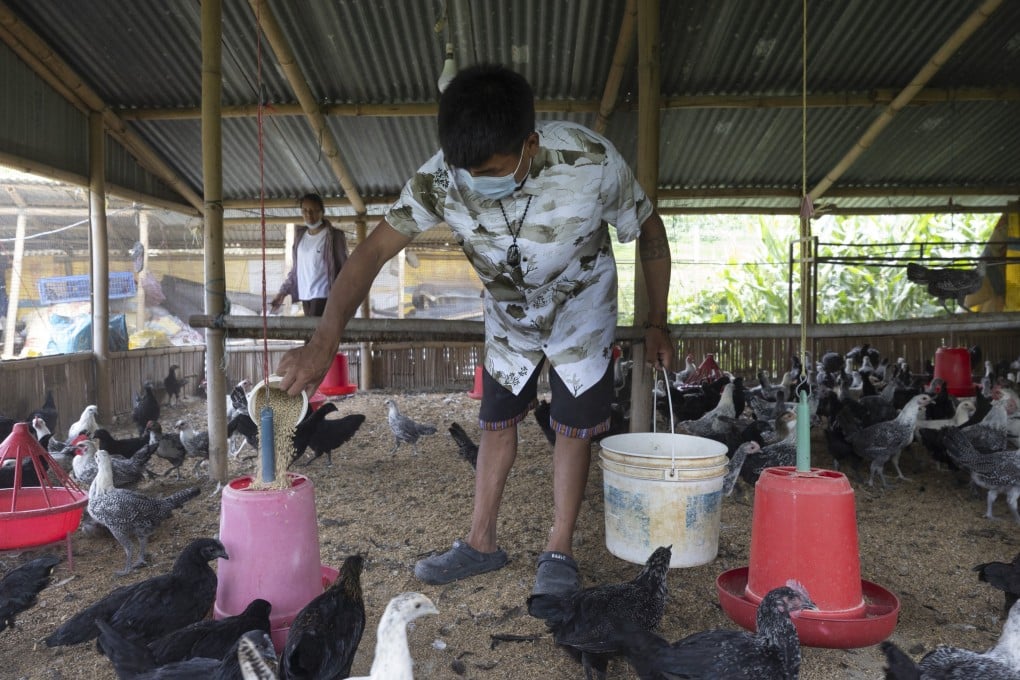 A farmer works at his poultry farm in Tokha village on the outskirts of Kathmandu, Nepal, on Friday. Photo: EPA