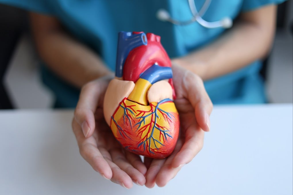 Heart patients can hopefully use the device for life or as a “bridge to transplant”. Photo: Shutterstock