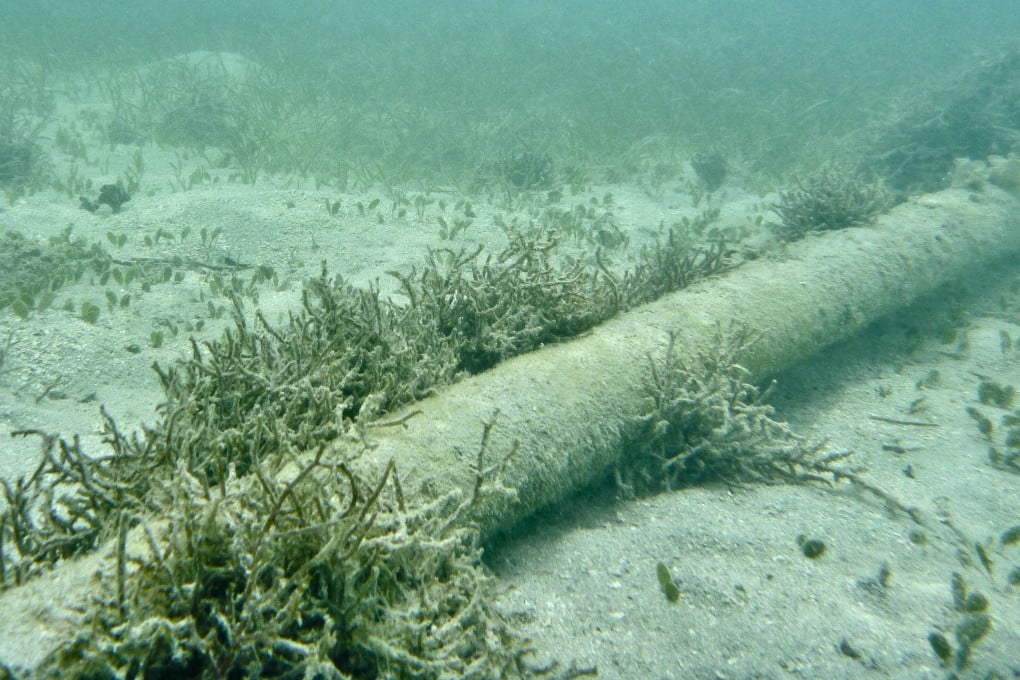 China aims to secure its position in the marine equipment sector by exporting advanced robots designed for locating underwater cables, official science daily says. Photo: Getty Images