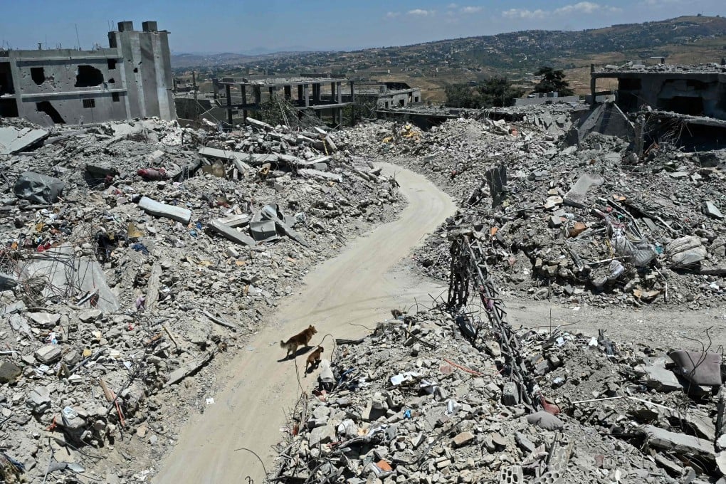 Stray dogs walk past the rubble of flattened homes and businesses, destroyed by the Israeli military, in the southern Lebanese village of Tibnin on June 24. Photo: AFP