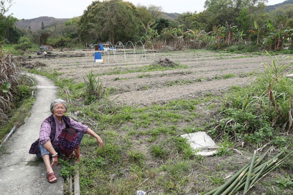 An indigenous villager and farmland in Sheung Shan Kai Wat village in Ping Che, Ta Kwu Ling, New Territories, on March 7, 2018. Photo: Nora Tam