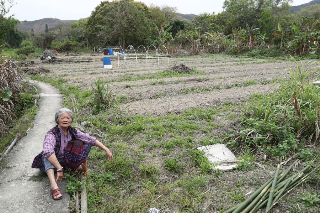 An indigenous villager and farmland in Sheung Shan Kai Wat village in Ping Che, Ta Kwu Ling, New Territories, on March 7, 2018. Photo: Nora Tam