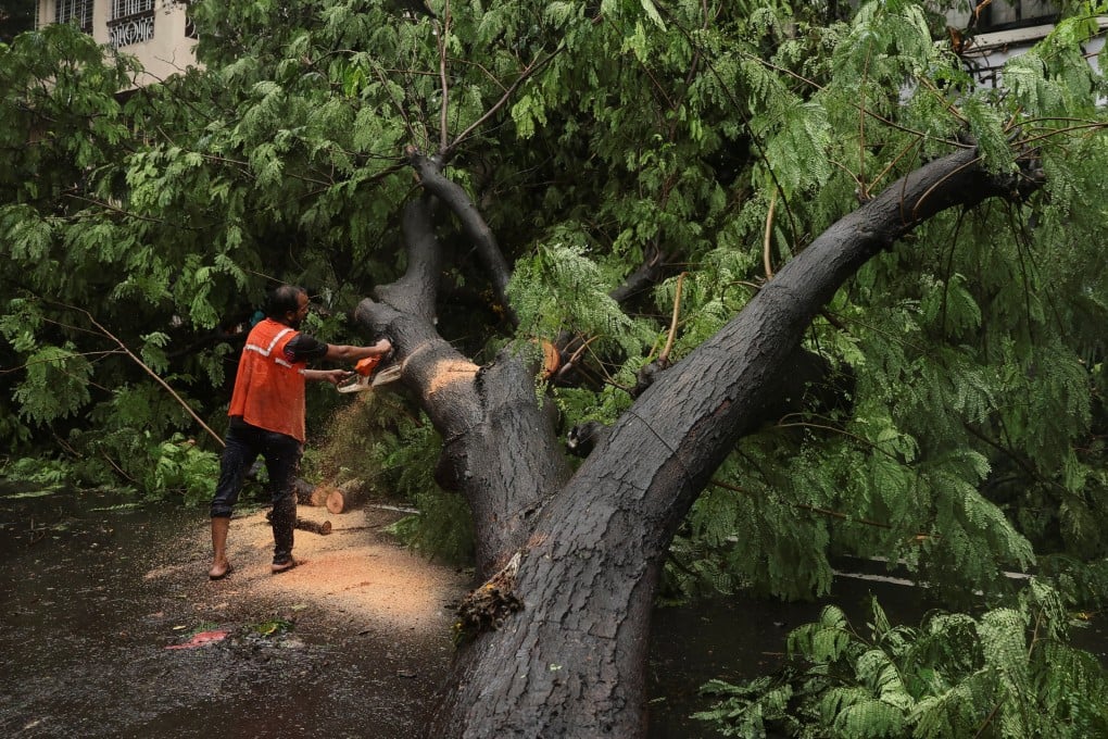 A worker clears a fallen tree after heavy rainfall in Mumbai on Sunday. Photo: Reuters