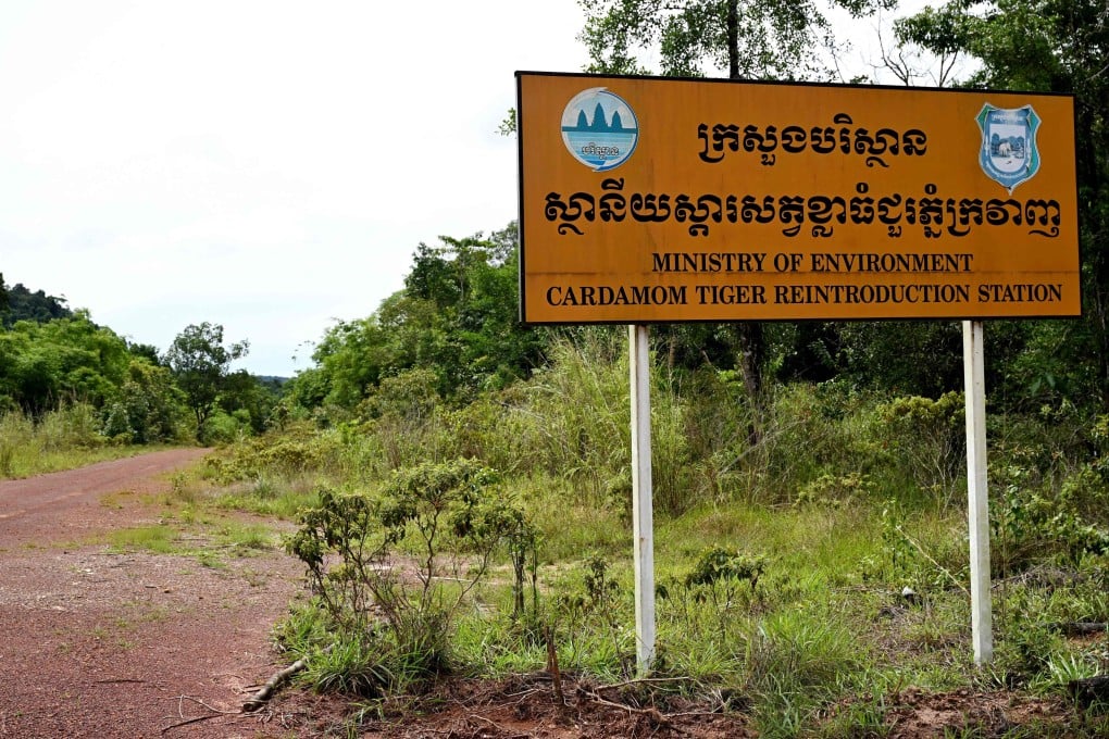 A road sign is seen on the way to a “Tiger Reintroduction Station” in Cambodia’s Cardamom National Park. Cambodia’s last confirmed tiger sighting was in 2007. Photo: AFP