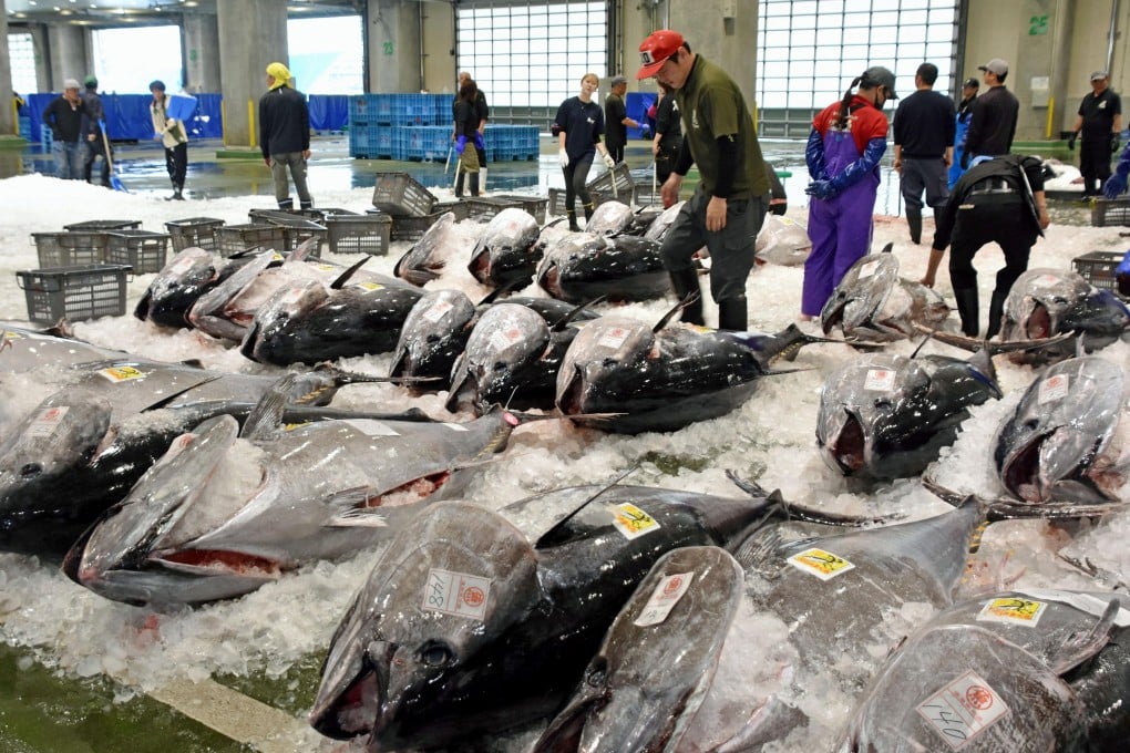 Bluefin tuna are lined up for auction at a port in Sakaiminato, Japan’s Tottori prefecture, on May 20. Photo: Kyodo via Reuters
