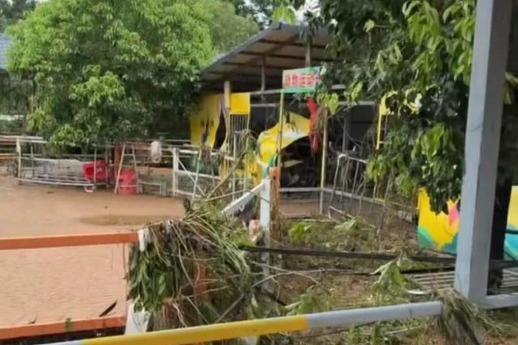 Guigang Zoo in southern China was inundated and multiple animals have escaped. Photo: Handout