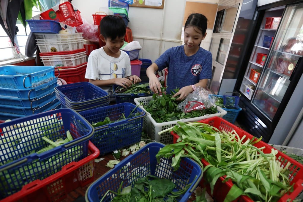 Children volunteer to collect vegetables in Tai Po, for their food recycling scheme, on August 30, 2019. Photo: Jonathan Wong