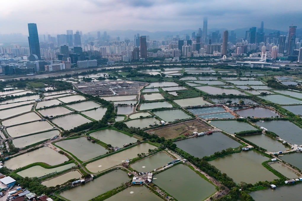 The site of the Northern Metropolis’s future San Tin Technopole. Photo: Edmond So