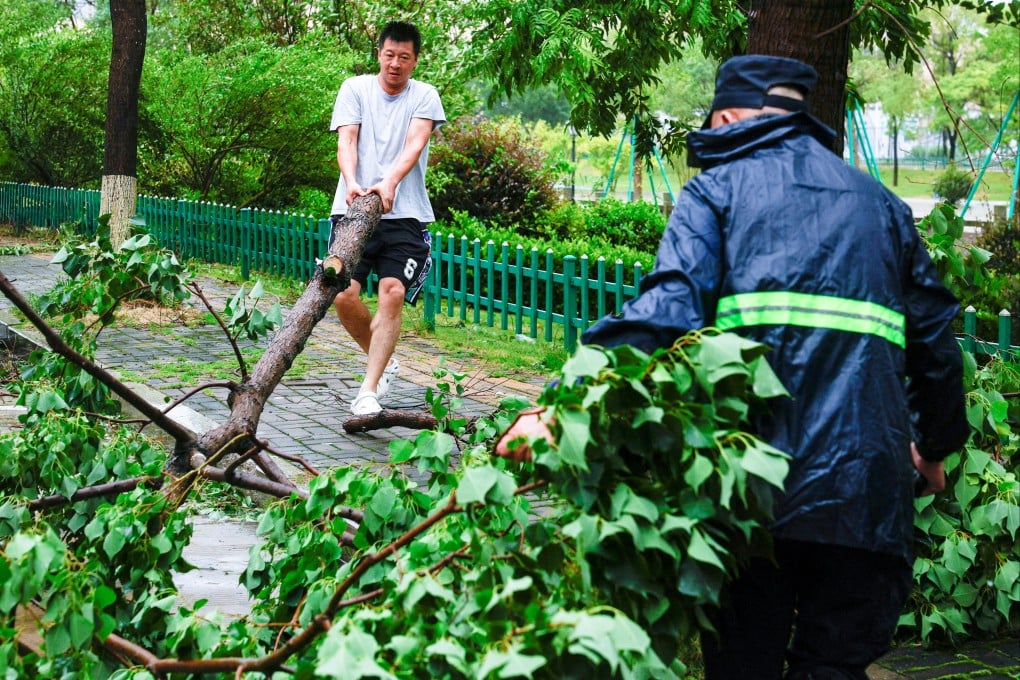 People drag a fallen tree to clear a road after heavy rain and strong winds brought by Typhoon Bavi in Wenzhou, Zhejiang province, on July 12. Photo: Reuters