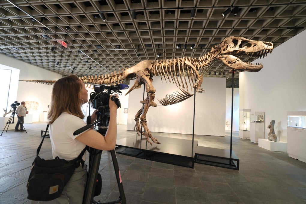 A videographer documents “Gus”, a mounted Tyrannosaurus Rex skeleton, in New York on July 1. Photo: AFP