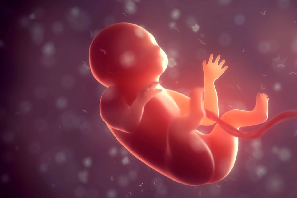 The study marks the world’s first successful differentiation of human embryonic stem cells into germ cells in a space environment, according to paper published in Science Advances. Photo: Shutterstock