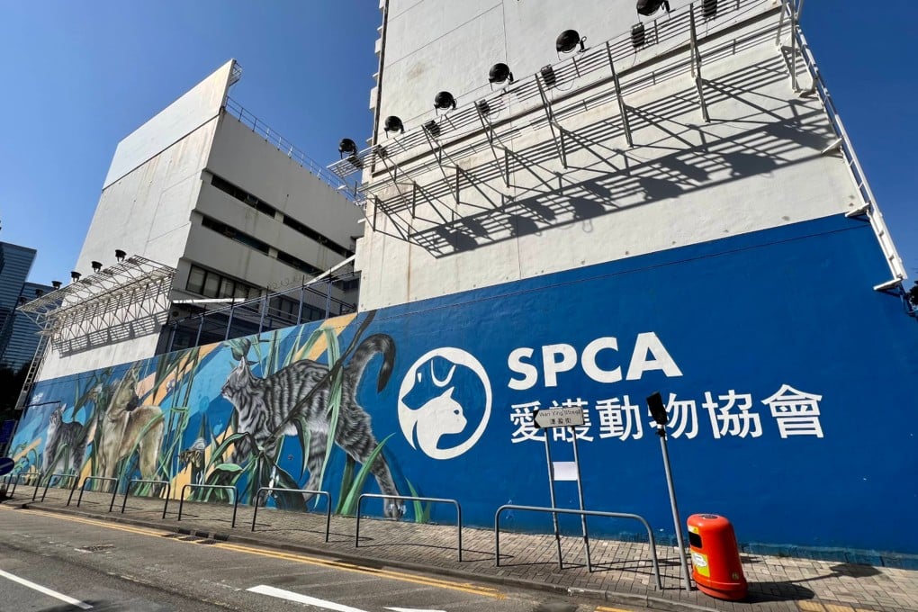 The SPCA's Wan Chai headquarters. The group reported the online video showing animal abuse in mainland China to Hong Kong police, in an effort to get the footage taken down. Photo: Handout