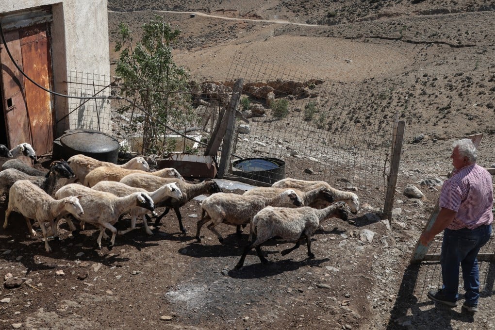 A farmer lets his sheep out from the pen on the island of Astypalaia, Greece, on Monday. Photo: Reuters