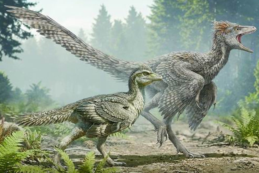 A Jurassic-era fossil found in China has changed the long-held belief that birds shed the long, bony tails of their dinosaur ancestors through a sudden evolutionary transition. Photo: sciencenet.cn