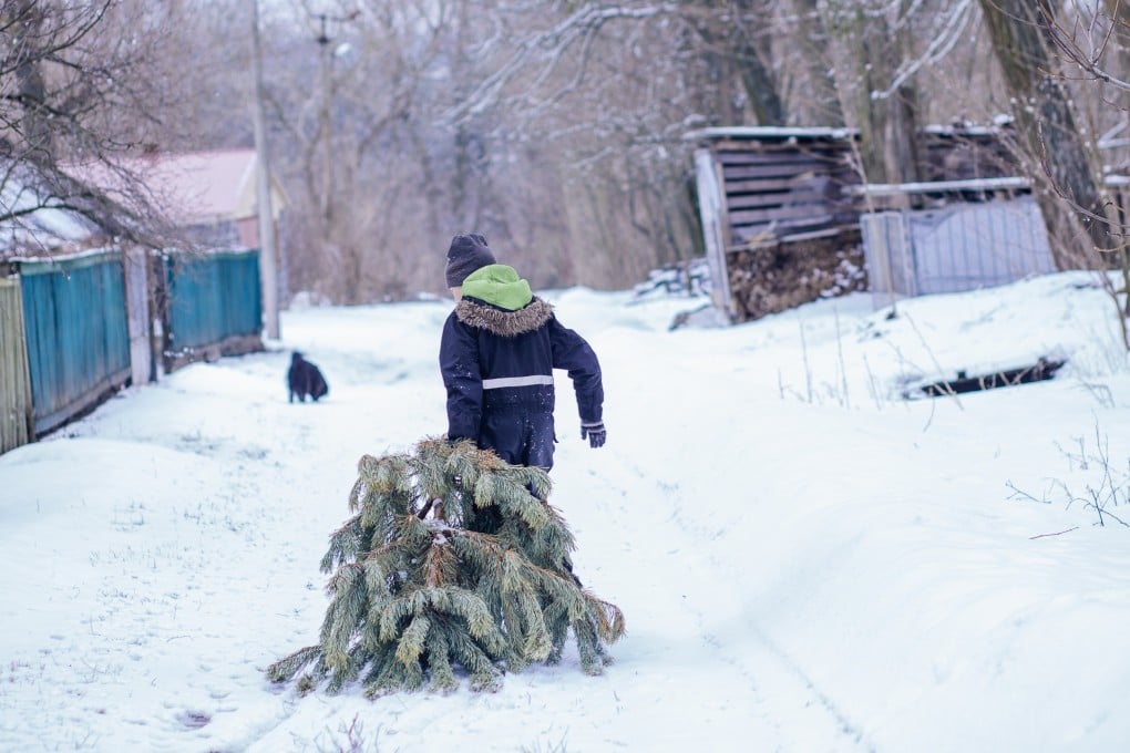 American Christmas tree growers are getting involved in the US-China trade war over fears for their profits this winter. Photo: Shutterstock
