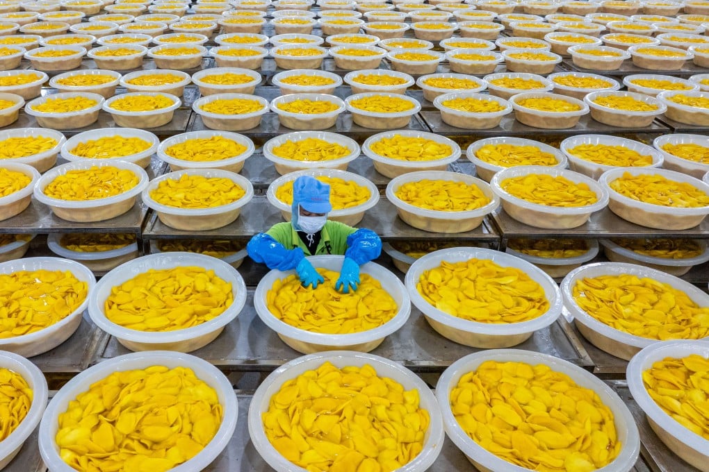 A worker inspects fruit at a Chinese-financed mango processing factory in Cambodia’s Kampong Speu province last year. Photo: Xinhua