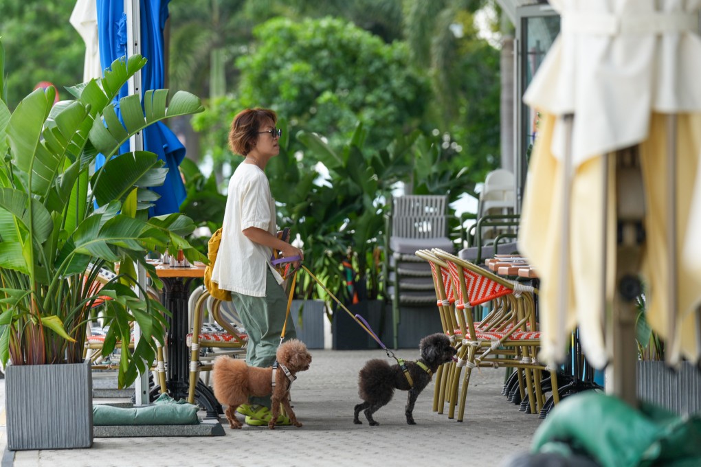 A dog owner with her pets visit a restaurant in the West Kowloon Cultural District. Photo: Jelly Tse
