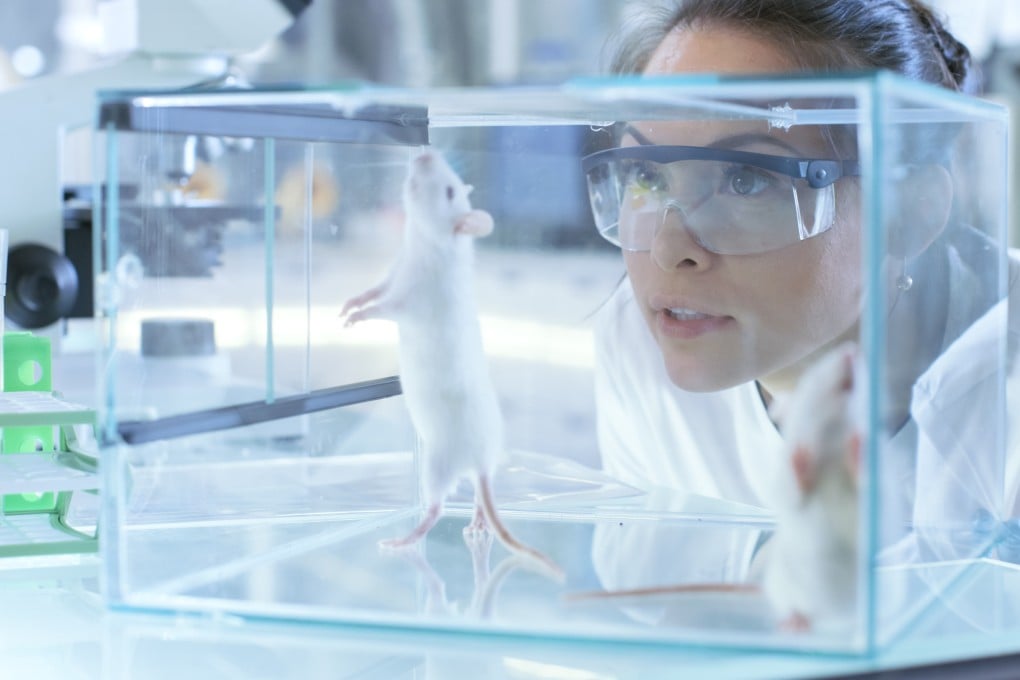 The team tested their system for diverse applications within live mice to demonstrate the system’s “versatility and robustness”. Photo: Shutterstock