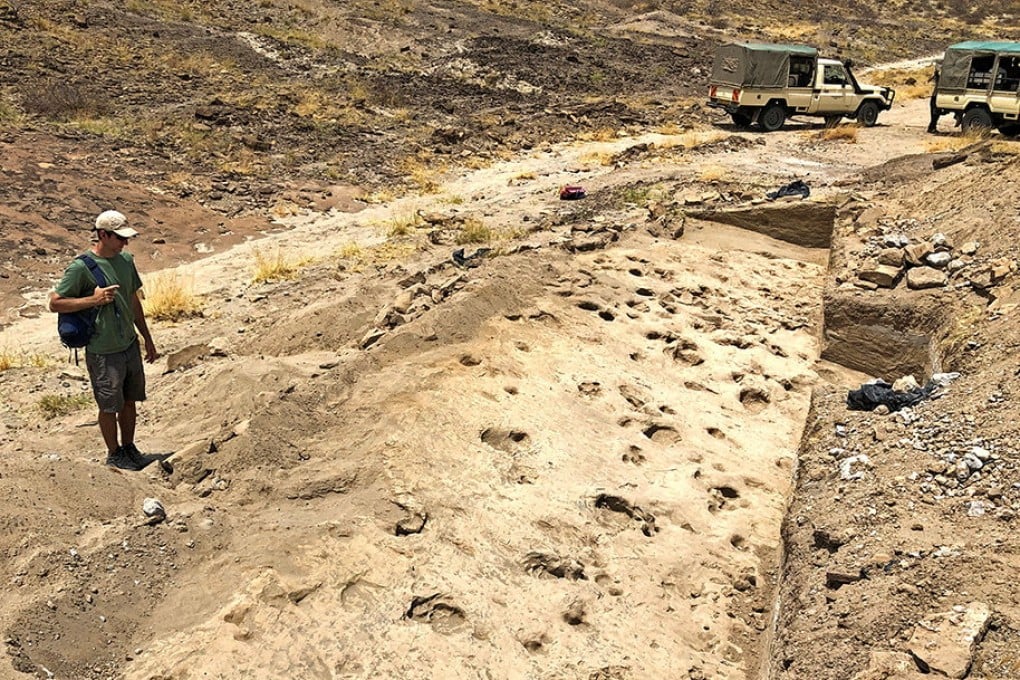 Researcher Kevin Hatala surveys fossilised footprints in sediments along the edge of an ancient lake thought to have been made by the hominin species Paranthropus boisei as well as hippos and other animals near Lake Turkana in northern Kenya. Photo: Handout via Reuters