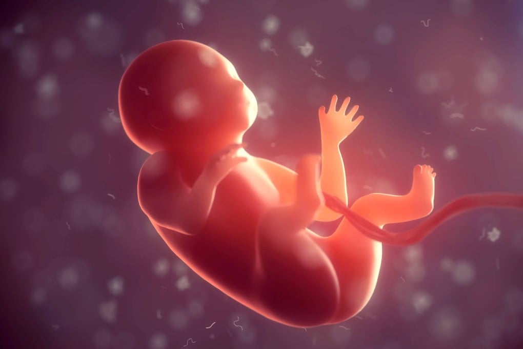 The study marks the world’s first successful differentiation of human embryonic stem cells into germ cells in a space environment, according to paper published in Science Advances. Photo: Shutterstock