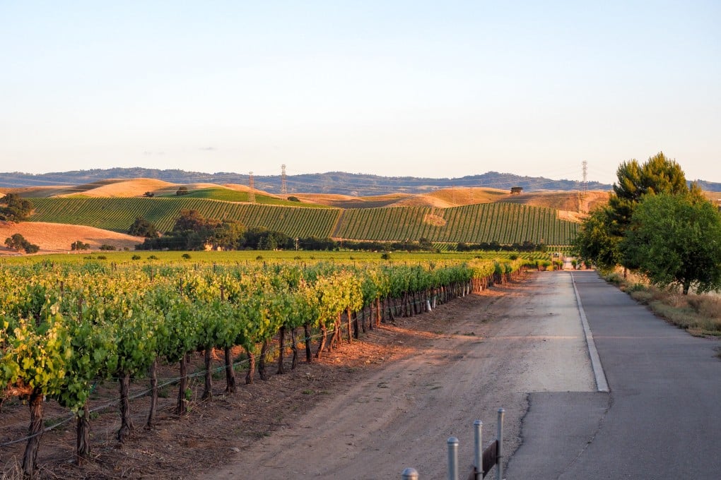 A vineyard and bike trail at sunset in Livermore Wine Country, California. Photo: Getty Images