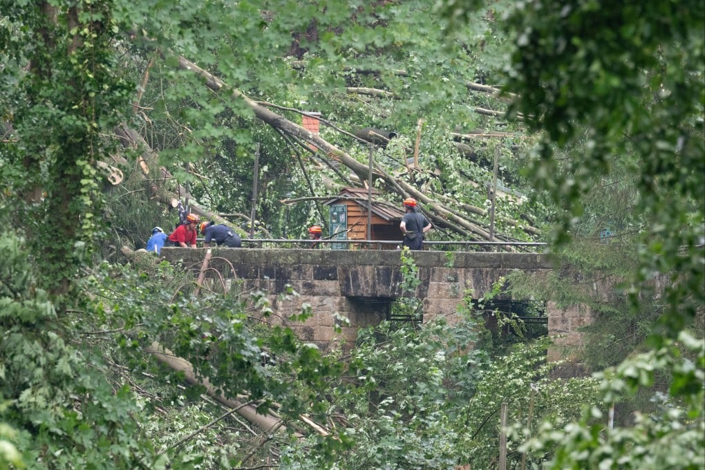 Firefighters are clear up storm damage in Amselgrund in Saxon Switzerland National Park. Photo: dpa