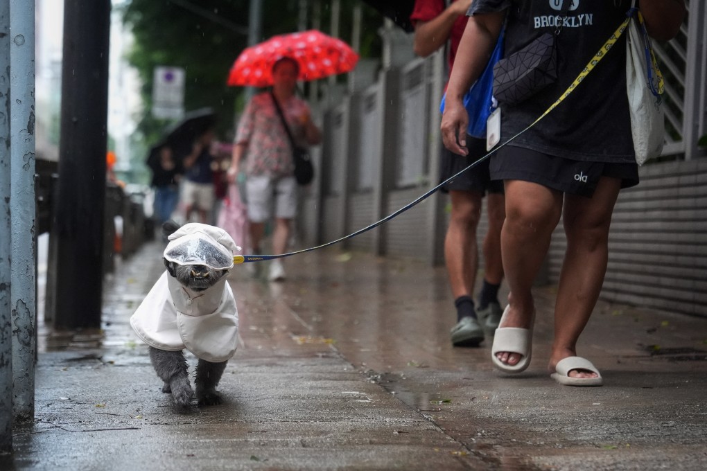 Showers are forecast to be heavy at times on Sunday. Photo: Elson Li