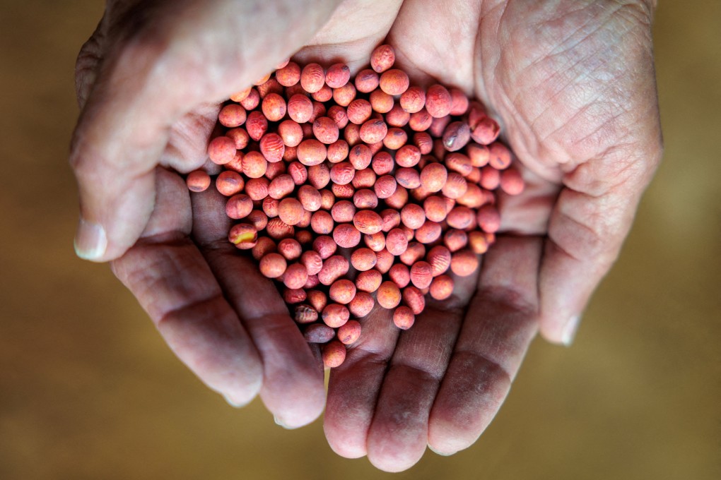 Farmer Susan Watkins holds soybean seeds on her farm in Sutherland, Virginia, in April. Photo: Reuters