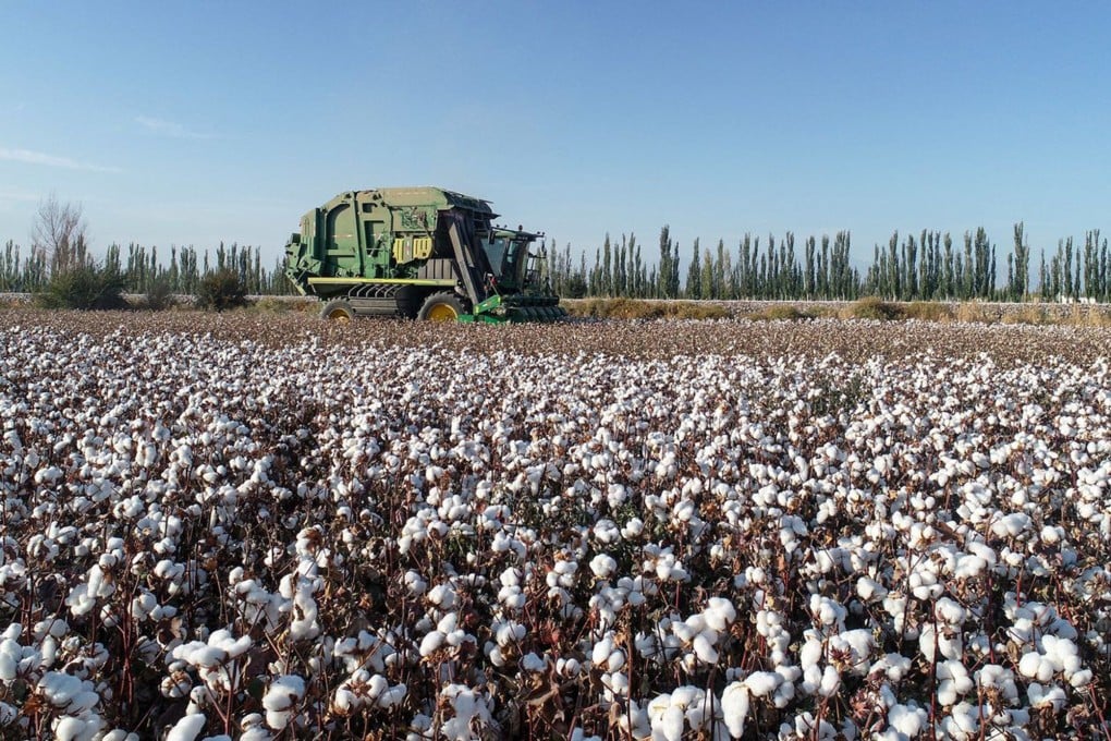 Cotton is harvested in China’s Xinjiang Uygur autonomous region. Photo: Zuma Press